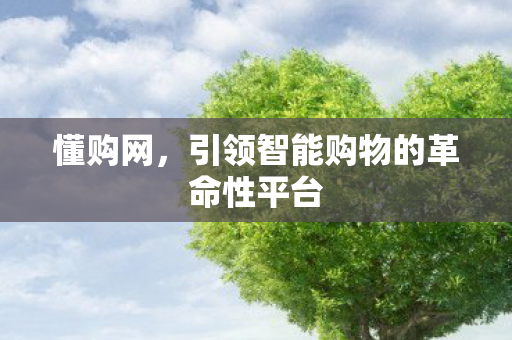 懂购网,引领智能购物的革命性平台 懂购网,引领智能购物的革命性平台