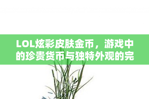 LOL炫彩皮肤金币,游戏中的珍贵货币与独特外观的完美结合 LOL炫彩皮肤金币,游戏中的珍贵货币与独特外观的完美结合