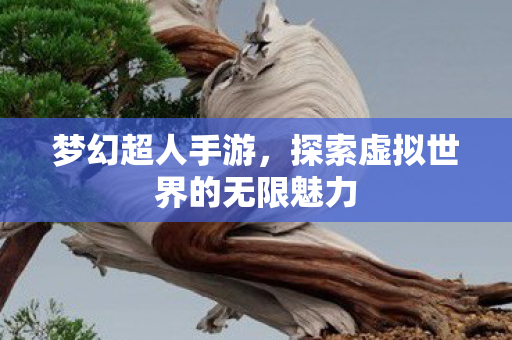 梦幻超人手游,探索虚拟世界的无限魅力 梦幻超人手游,探索虚拟世界的无限魅力