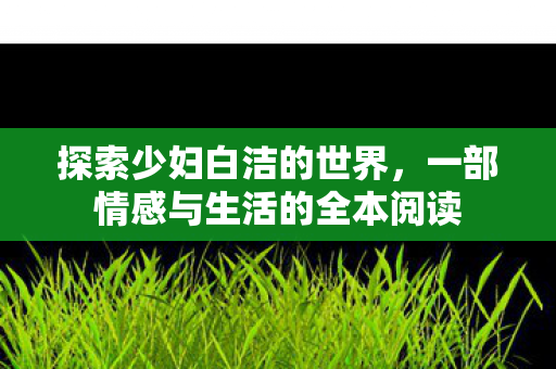 探索少妇白洁的世界,一部情感与生活的全本阅读 探索少妇白洁的世界,一部情感与生活的全本阅读