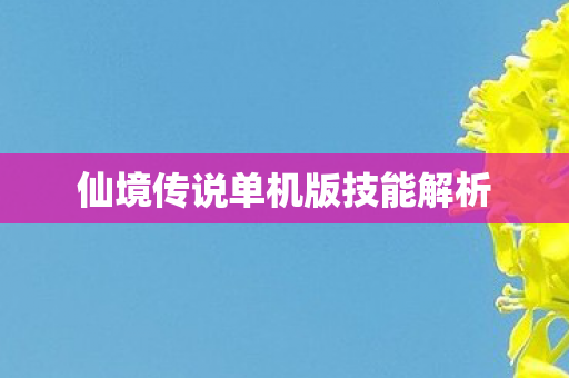 仙境传说单机版技能解析 仙境传说单机版技能解析