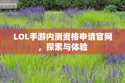 LOL手游内测资格申请官网,探索与体验 LOL手游内测资格申请官网,探索与体验