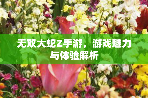 无双大蛇Z手游，游戏魅力与体验解析