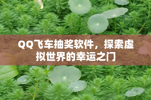 QQ飞车抽奖软件,探索虚拟世界的幸运之门 QQ飞车抽奖软件,探索虚拟世界的幸运之门