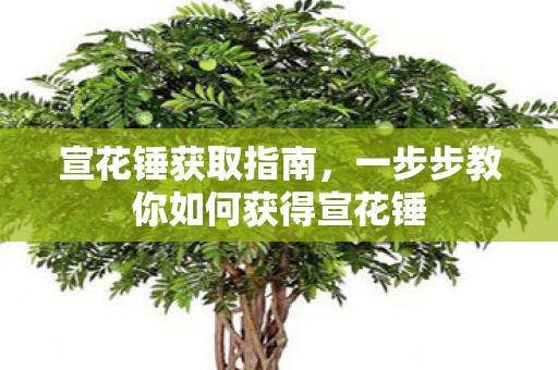 宣花锤获取指南,一步步教你如何获得宣花锤 宣花锤获取指南,一步步教你如何获得宣花锤