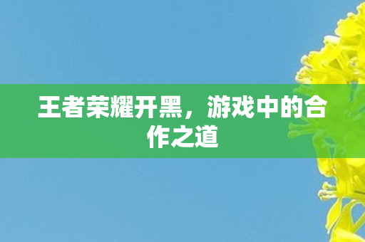 王者荣耀开黑,游戏中的合作之道 王者荣耀开黑,游戏中的合作之道