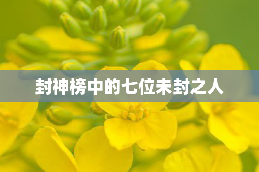 封神榜中的七位未封之人 封神榜中的七位未封之人