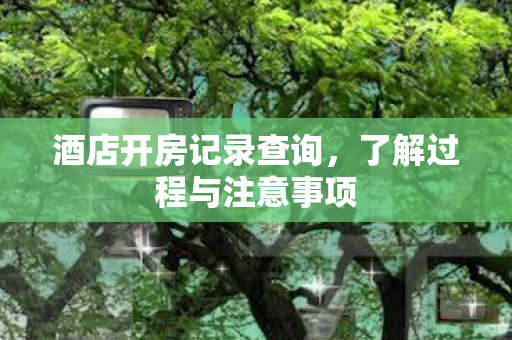 酒店开房记录查询,了解过程与注意事项 酒店开房记录查询,了解过程与注意事项