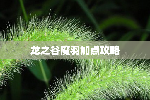 龙之谷魔羽加点攻略 龙之谷魔羽加点攻略