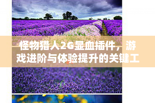 怪物猎人2G显血插件,游戏进阶与体验提升的关键工具 怪物猎人2G显血插件,游戏进阶与体验提升的关键工具