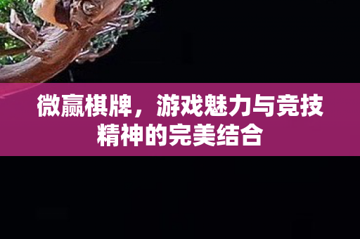 微赢棋牌,游戏魅力与竞技精神的完美结合 微赢棋牌,游戏魅力与竞技精神的完美结合