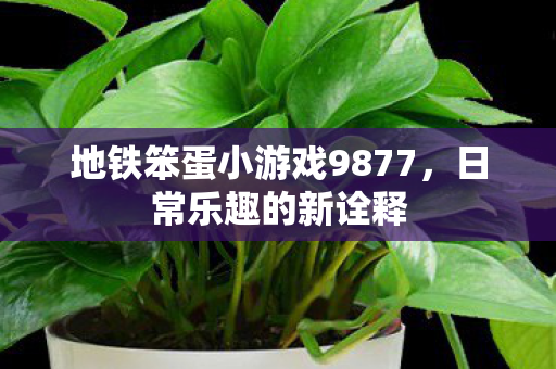 地铁笨蛋小游戏9877,日常乐趣的新诠释 地铁笨蛋小游戏9877,日常乐趣的新诠释
