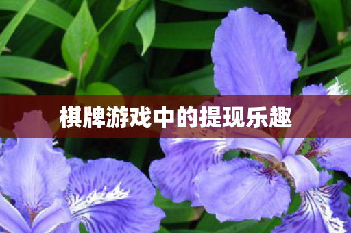 棋牌游戏中的提现乐趣 棋牌游戏中的提现乐趣