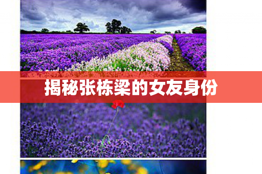 揭秘张栋梁的女友身份 揭秘张栋梁的女友身份