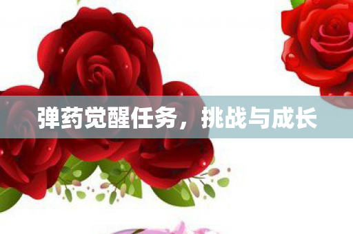 弹药觉醒任务,挑战与成长 弹药觉醒任务,挑战与成长