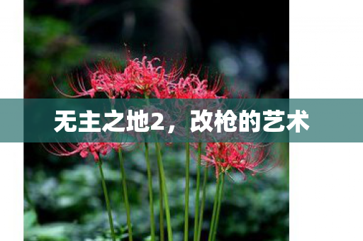 无主之地2,改枪的艺术 无主之地2,改枪的艺术