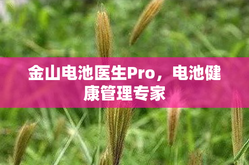 金山电池医生Pro，电池健康管理专家
