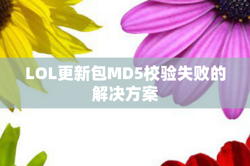 LOL更新包MD5校验失败的解决方案 LOL更新包MD5校验失败的解决方案
