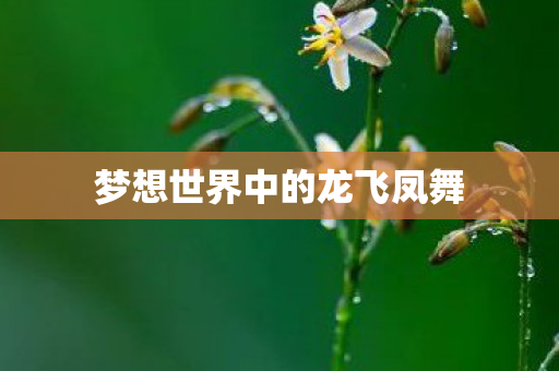 梦想世界中的龙飞凤舞 梦想世界中的龙飞凤舞