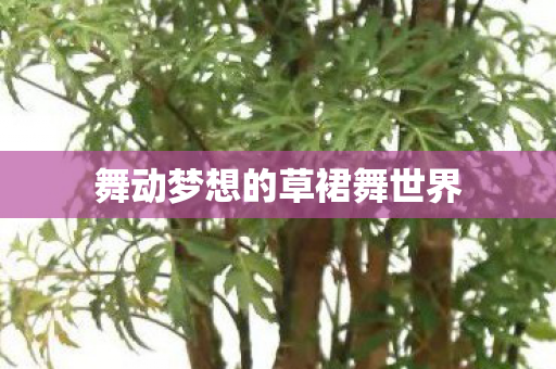 舞动梦想的草裙舞世界