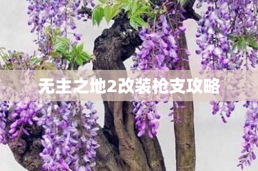 无主之地2改装枪支攻略 无主之地2改装枪支攻略