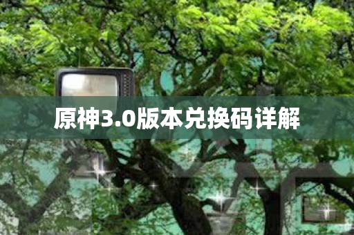 原神3.0版本兑换码详解 原神3.0版本兑换码详解