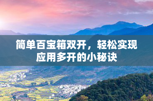 简单百宝箱双开,轻松实现应用多开的小秘诀 简单百宝箱双开,轻松实现应用多开的小秘诀