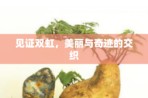 见证双虹,美丽与奇迹的交织 见证双虹,美丽与奇迹的交织