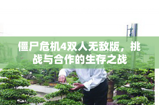 僵尸危机4双人无敌版，挑战与合作的生存之战