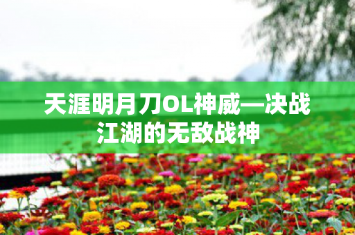 天涯明月刀OL神威—决战江湖的无敌战神 天涯明月刀OL神威—决战江湖的无敌战神