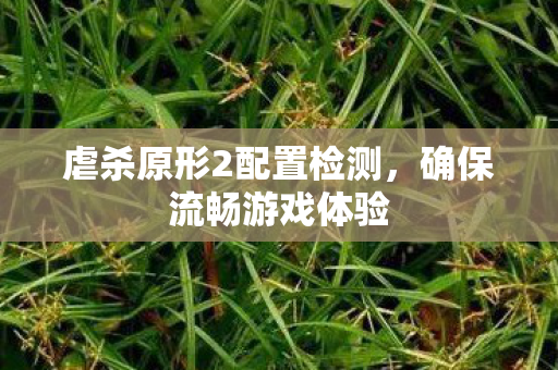 虐杀原形2配置检测,确保流畅游戏体验 虐杀原形2配置检测,确保流畅游戏体验