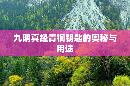 九阴真经青铜钥匙的奥秘与用途 九阴真经青铜钥匙的奥秘与用途