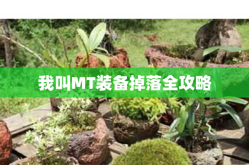 我叫MT装备掉落全攻略 我叫MT装备掉落全攻略