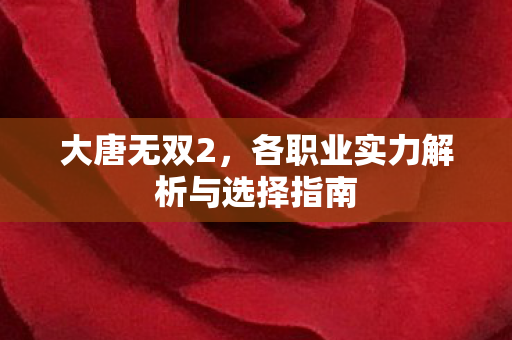 大唐无双2,各职业实力解析与选择指南 大唐无双2,各职业实力解析与选择指南