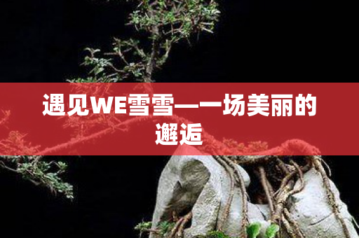 遇见WE雪雪—一场美丽的邂逅 遇见WE雪雪—一场美丽的邂逅