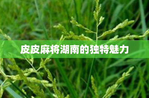皮皮麻将湖南的独特魅力