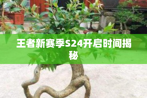 王者新赛季S24开启时间揭秘