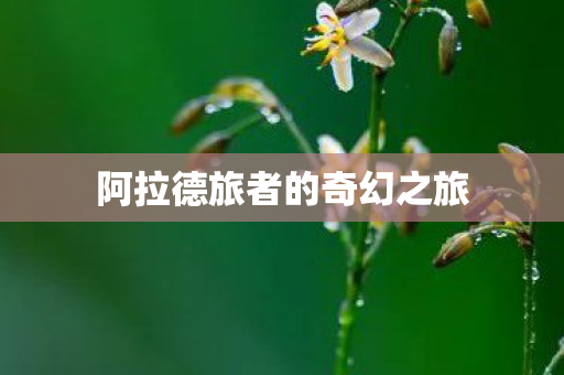 阿拉德旅者的奇幻之旅