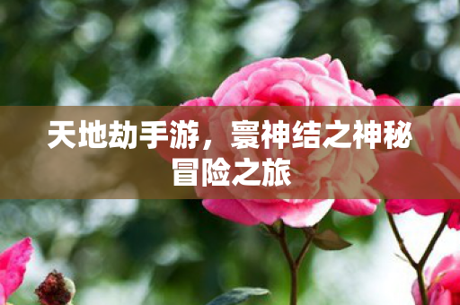 天地劫手游,寰神结之神秘冒险之旅 天地劫手游,寰神结之神秘冒险之旅