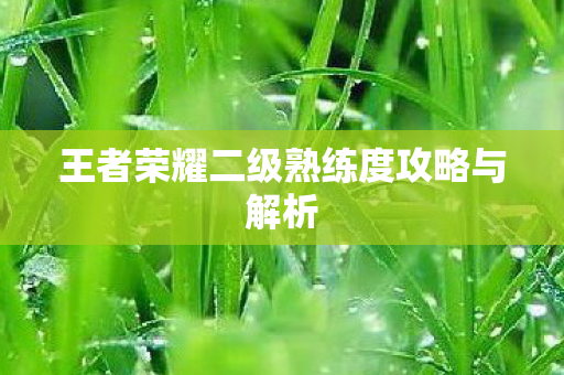 王者荣耀二级熟练度攻略与解析 王者荣耀二级熟练度攻略与解析