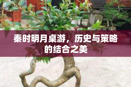 秦时明月桌游，历史与策略的结合之美