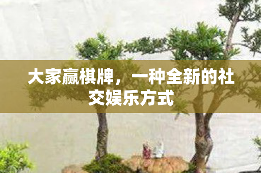 大家赢棋牌，一种全新的社交娱乐方式