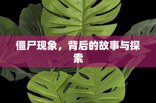 僵尸现象，背后的故事与探索