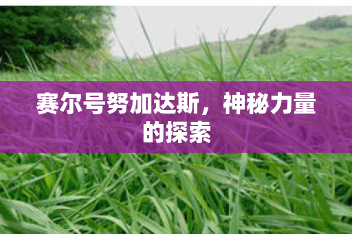 赛尔号努加达斯,神秘力量的探索 赛尔号努加达斯,神秘力量的探索