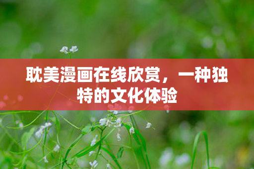 耽美漫画在线欣赏,一种独特的文化体验 耽美漫画在线欣赏,一种独特的文化体验