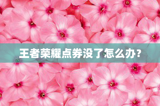 王者荣耀点券没了怎么办？