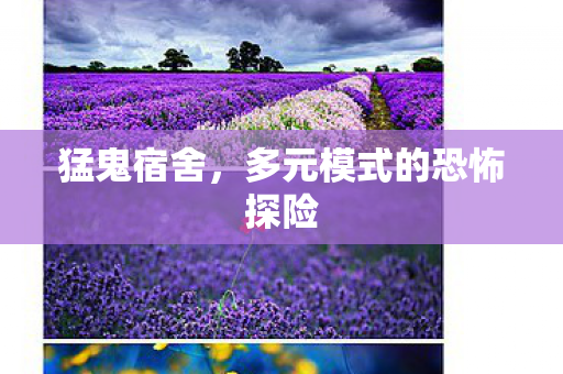 猛鬼宿舍,多元模式的恐怖探险 猛鬼宿舍,多元模式的恐怖探险