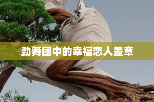 劲舞团中的幸福恋人盖章 劲舞团中的幸福恋人盖章