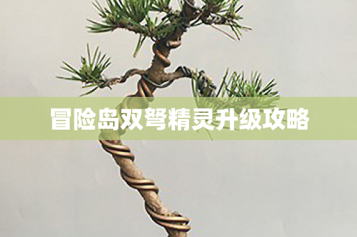 冒险岛双弩精灵升级攻略