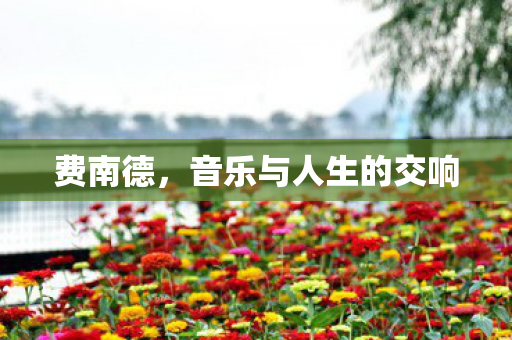 费南德，音乐与人生的交响